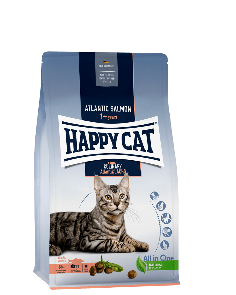 Adult Sterilised Atlantik-Lachs